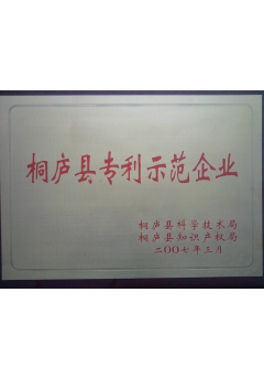专利示范企业
