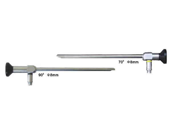 Ear Endoscope
